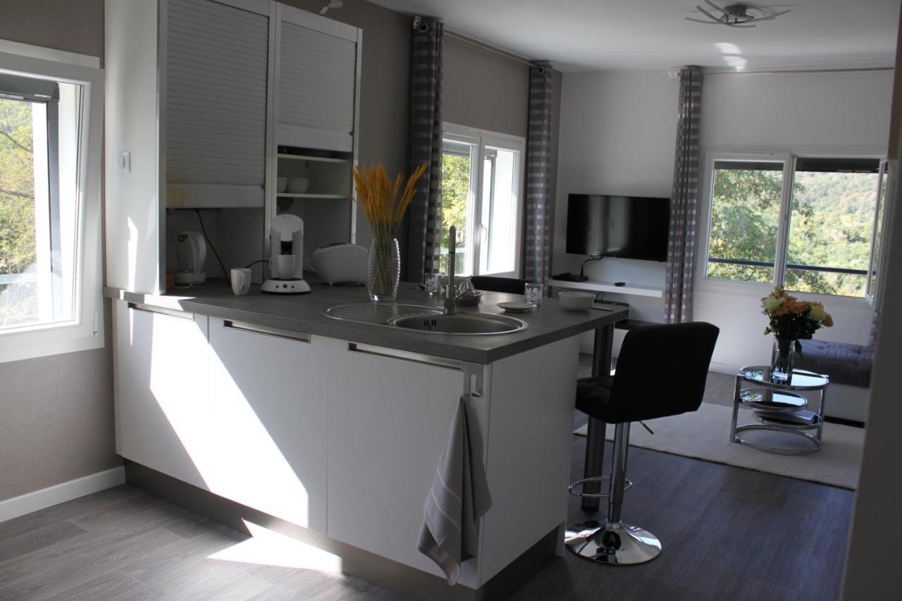 Hippolits Apartment Chatel-Guyon Exterior photo